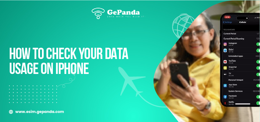 How To Check Your Data Usage on iPhone